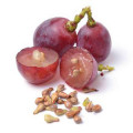 Grape Seed